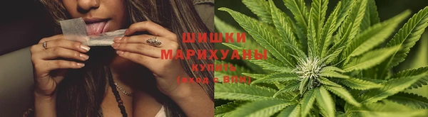 ешки Дубна