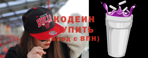 ешки Дубна