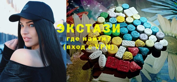 гидра Новодвинск