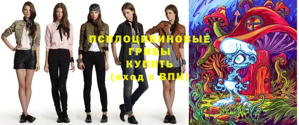 мдпв Дубовка
