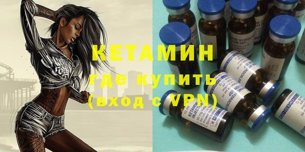гидра Новодвинск