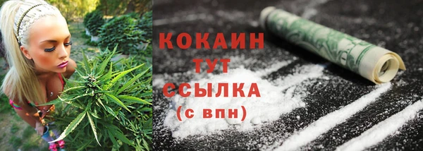 гидра Новодвинск