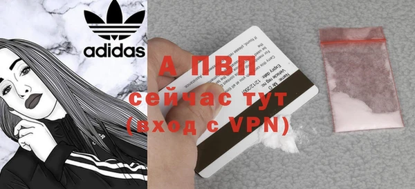стаф Новокубанск