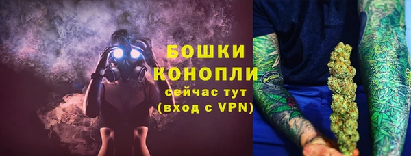 стаф Новокубанск