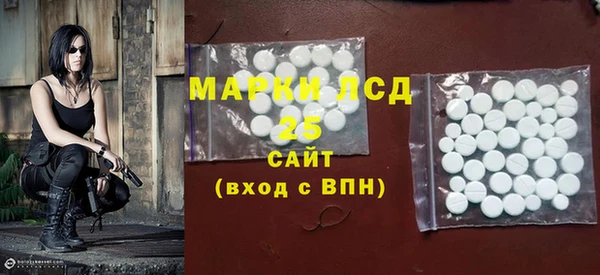 гидра Новодвинск