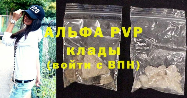 стаф Новокубанск