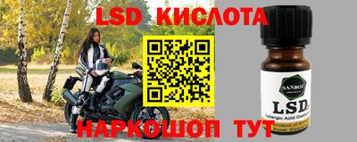 прущие грибы Бийск