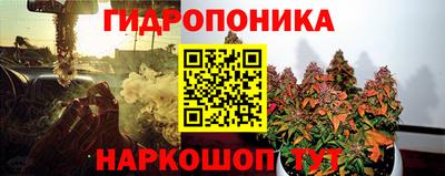 прущие крисы Балаково