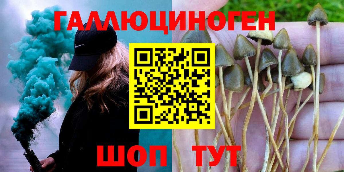 Ивантеевка  Галлюциногенные грибы Psilocybe  Вход с VPN  Галлюциногенные грибы Psilocybe 